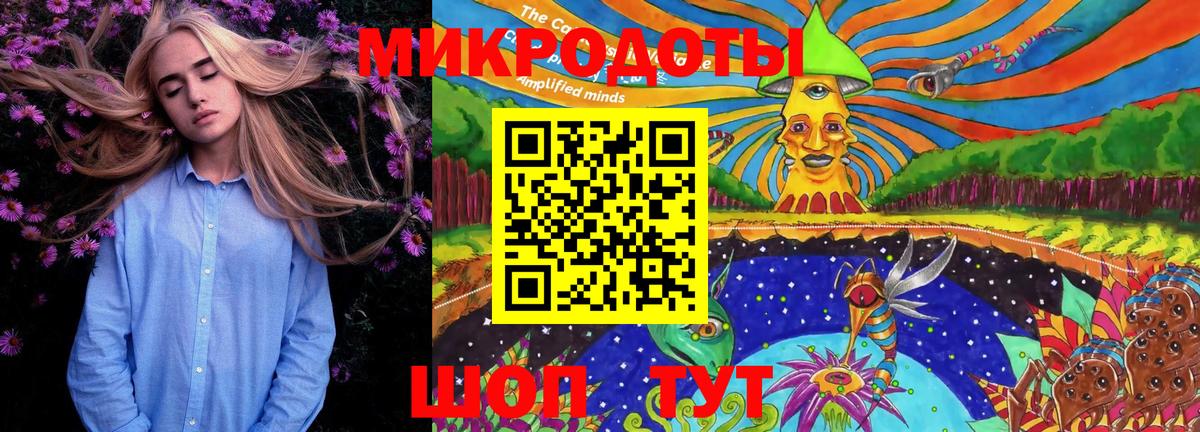 Псилоцибиновые грибы Psilocybine cubensis Орск
