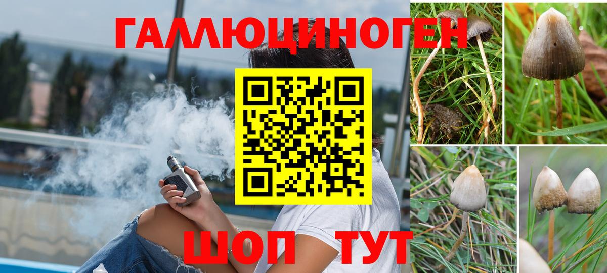 Псилоцибиновые грибы GOLDEN TEACHER  Вход с VPN  Орск 
